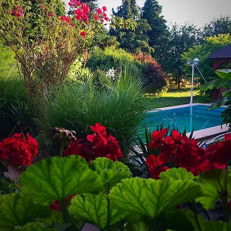 Guest house Negra