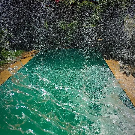 Negra Guest house *